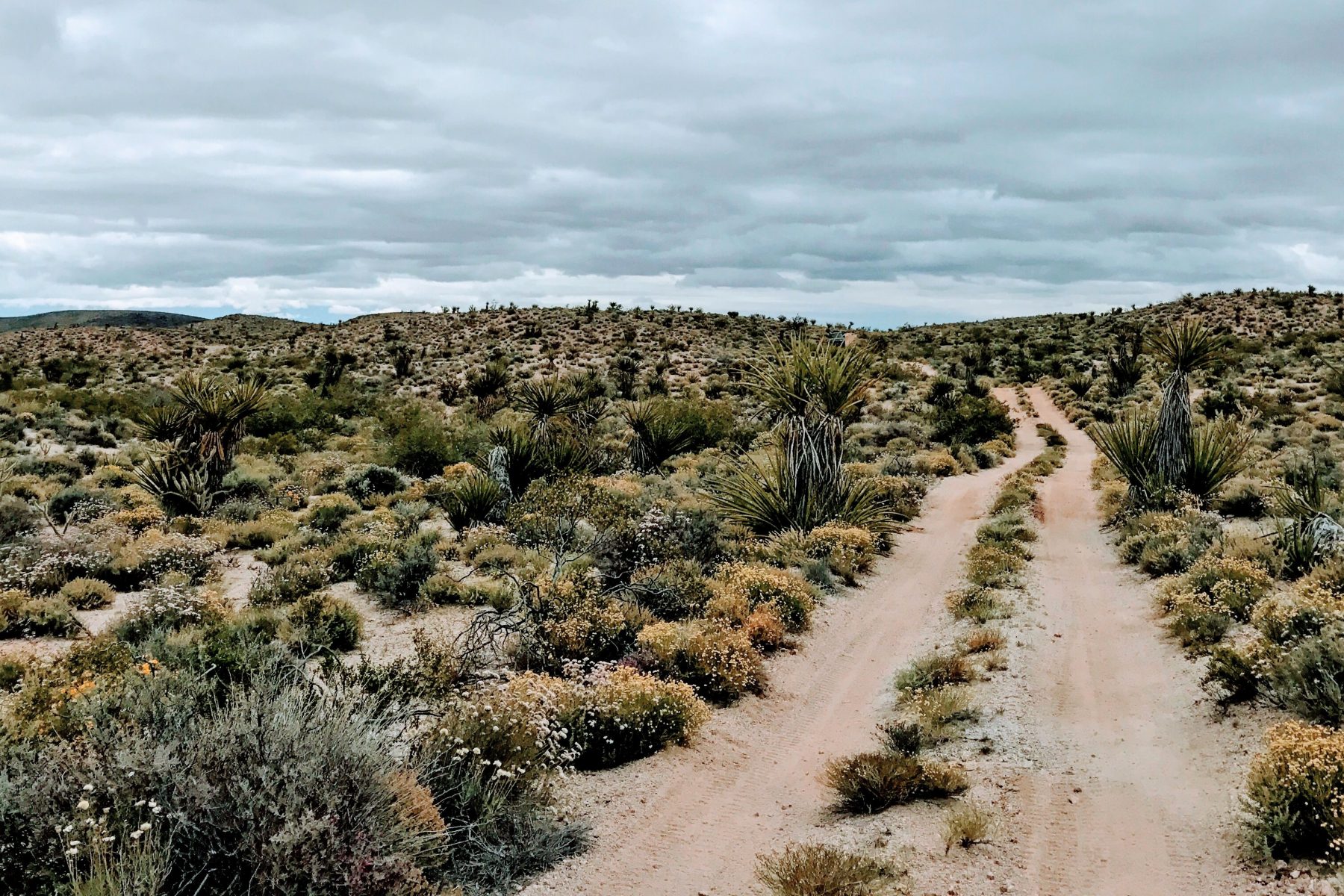 The Mojave Road