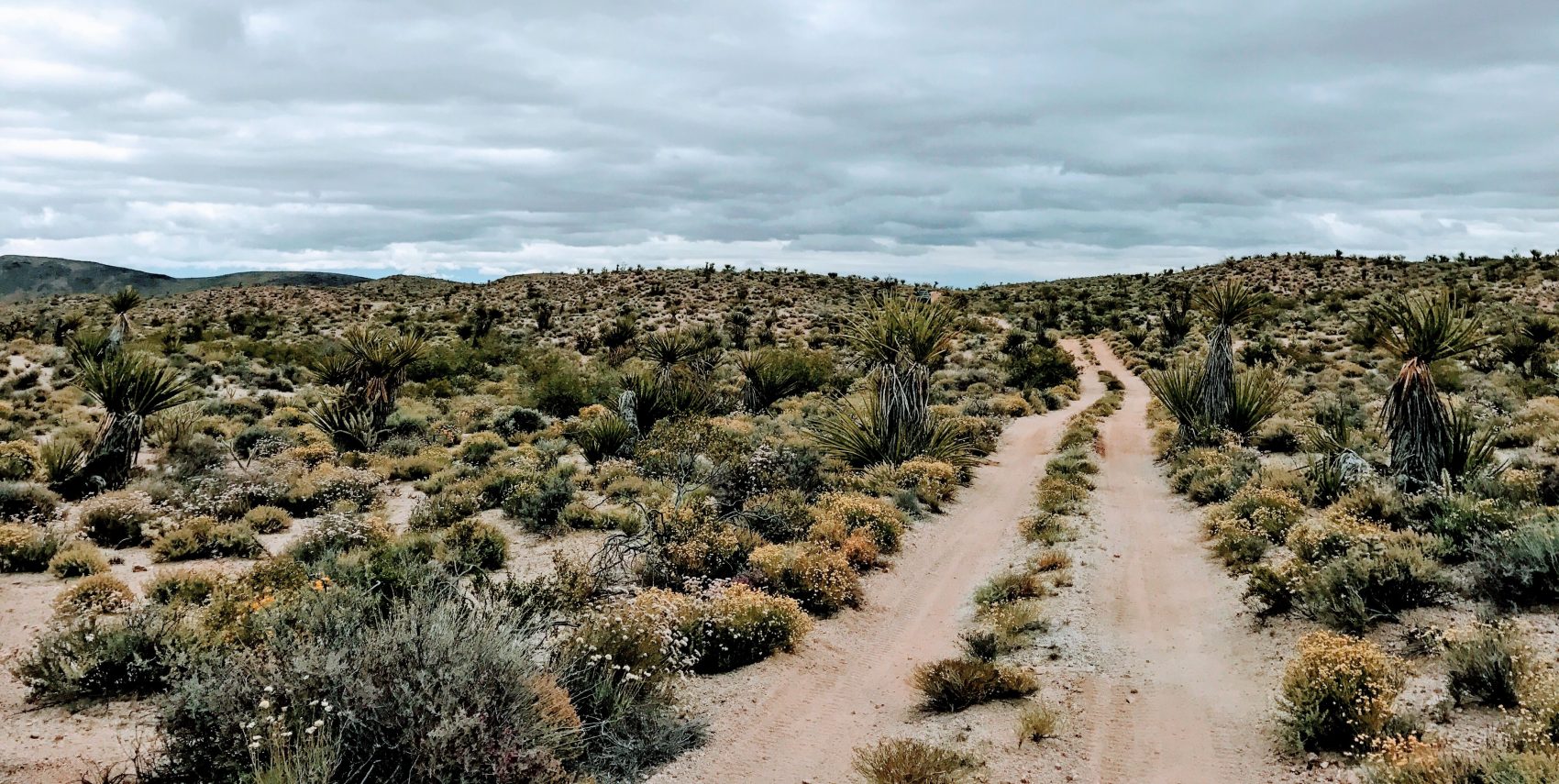 The Mojave Road